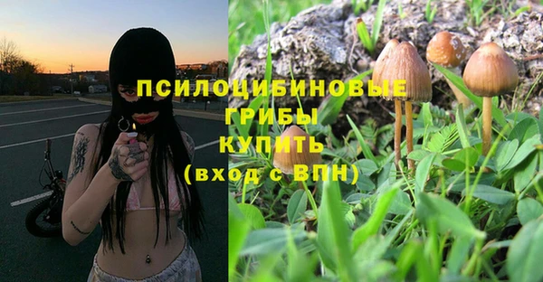 хмурый Михайловка