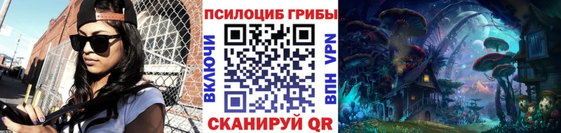 OMG рабочий сайт Ейск Псилоцибиновые грибы GOLDEN TEACHER где продают