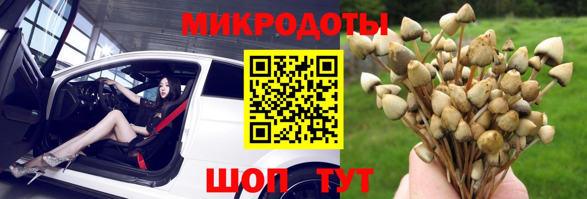 Псилоцибиновые грибы Psilocybine cubensis  Вход с VPN  Галлюциногенные грибы Cubensis  Ейск 